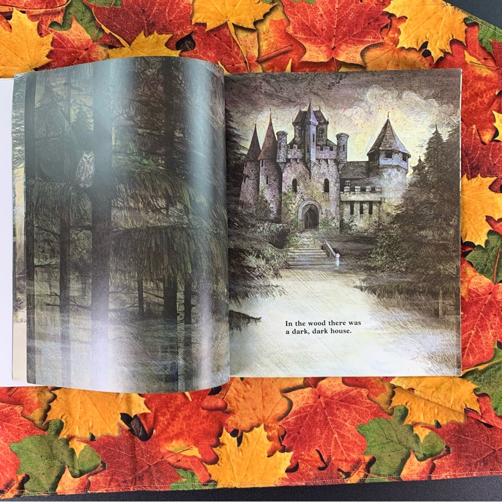 A Dark Dark Tale and Caves Book Set. - Picture 6 of 14